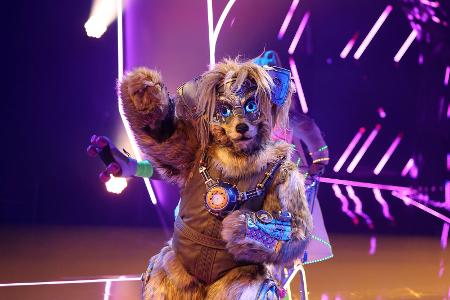 Robodog, Staffel zehn