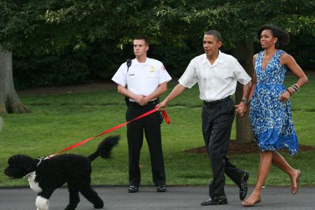 Bevor Hündin Sunny zu den Obamas kam, gehörte auch schon Hund Bo zur Familie. (Archivbild)