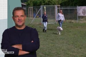 "Der Hundeprofi - Rütters Team"