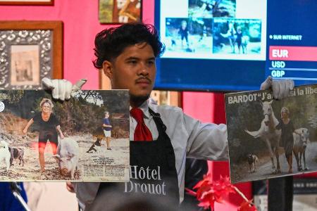 Auktion: Fast eine Million Euro für Brigitte Bardots Erinnerungsstücke