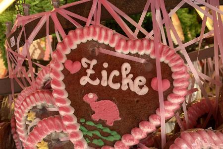 Zicke