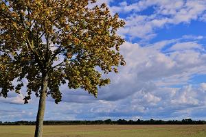 Vielen Menschen in Deutschland stehen sonnige Herbsttage bevor.