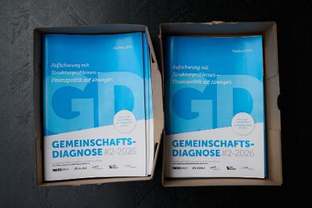Die Gemeinschaftsdiagnose wird im Frühjahr und im Herbst von Wirtschaftsforschungsinstituten veröffentlicht.