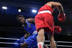 Box-EM: DBV mit positivem Fazit