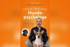 Wenn Hunde ausrasten: Was Halter über das Nervensystem wissen müssen