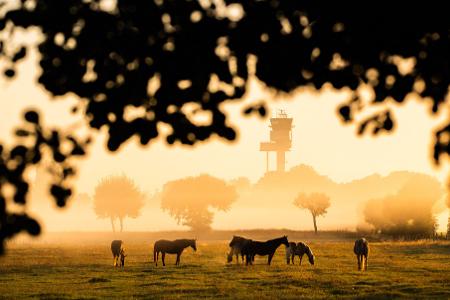 Nachdem sich die morgendliche Kühle verzogen hat, wird es wieder Sommer. 
