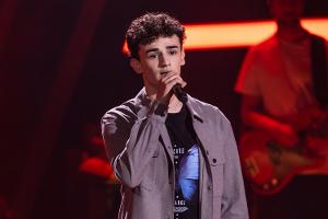 "The Voice of Germany"