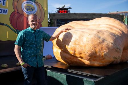 Der schwerste Kürbis bei der Kürbiswiegemeisterschaft in Klaistow von Oliver Grafe ist rund 942 Kilogramm schwer.