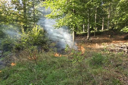 Flächenbrand 27.09