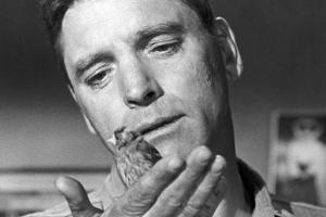 Der Gefangene von Alcatraz