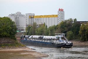 Viel Schiff, wenig Wasser: Dieses Frachtschiff hatte sich auf einer Sandbank im Düsseldorfer Hafen festgefahren. 