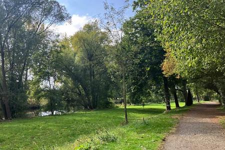 Ruhrwiesen 