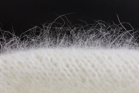 Angora