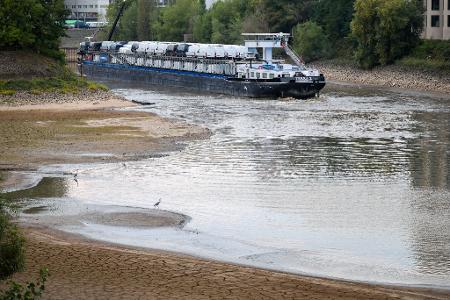 Das Frachtschiff Terra 2 am Montag auf der Sandbank am Ende eines Düsseldorfer Hafenbeckens.
