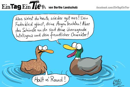 EIN_TAG_EIN_TIER