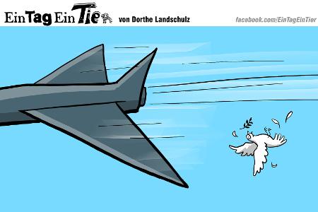 EIN_TAG_EIN_TIER