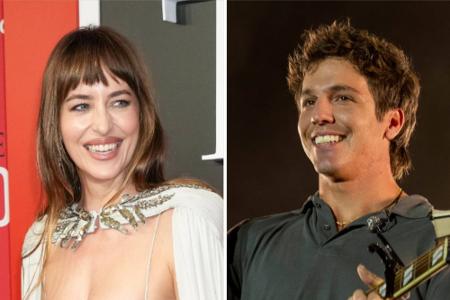 Dakota Johnson und Role Model
