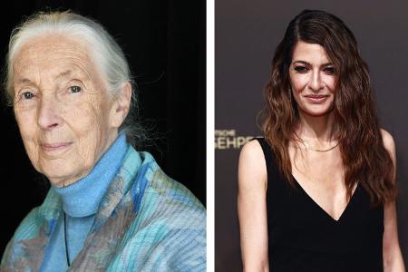 Jane Goodall, Linda Zervakis