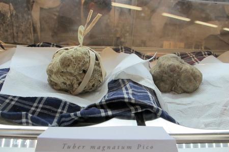 In Alba beginnt die traditionelle Trüffelmesse. (Archivbild)