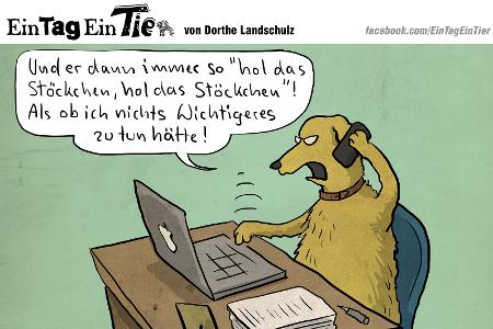 EIN_TAG_EIN_TIER
