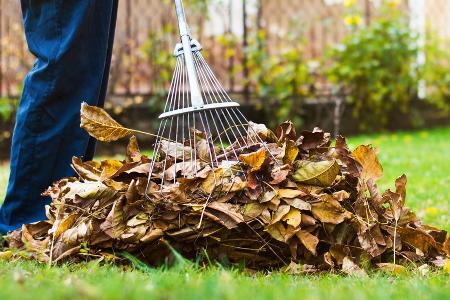 Laub im Garten: Wann es liegen bleiben sollte - und wann es weg muss