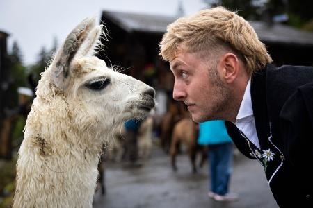 Ein tiefer Blick in die Augen - Rico und sein Lama kurz vor dem Alpabzug in der Schweiz.
