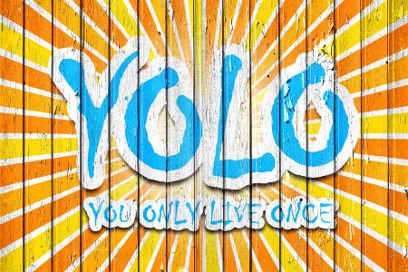 2012: YOLO