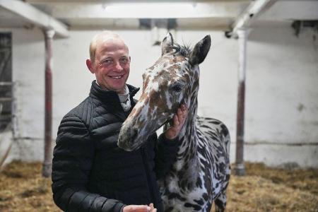 Pferdchen im Zebra-Look: Steffen Krehl zeigt sein Fohlen J-Nimon K., das bei einer Pferdeauktion in Wien für 75.000 Euro nach Dubai verkauft wurde.
