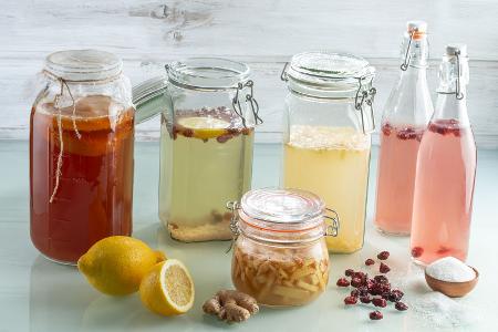 Kombucha