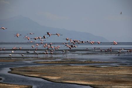 Lake Natron, Tansania