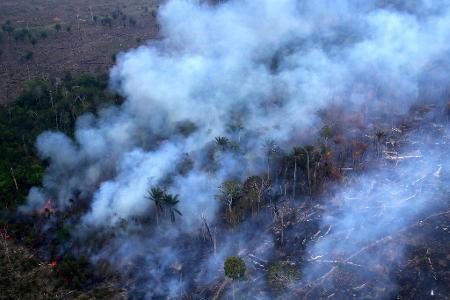 Ein Waldbrand in einem Gebiet des Amazonas-Regenwaldes in Autazes im brasilianischen Bundesstaat Amazonas.