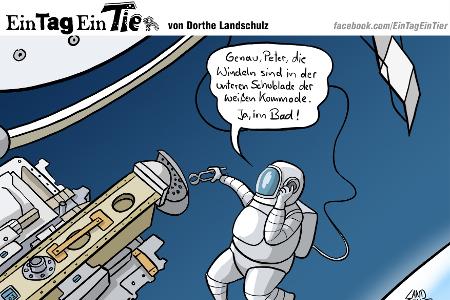 EIN_TAG_EIN_TIER