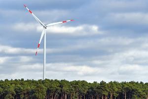Die Deckelung ist Bestandteil der Reform des Erneuerbare-Energien-Gesetzes (EEG), das derzeit im Bundestag beraten wird. (Archivbild)