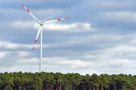 Die Deckelung ist Bestandteil der Reform des Erneuerbare-Energien-Gesetzes (EEG), das derzeit im Bundestag beraten wird. (Archivbild)