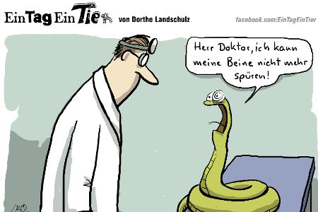 EIN_TAG_EIN_TIER