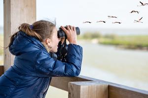 Raus aus dem Alltag, rein in die Natur: Warum Birding gerade alle begeistert