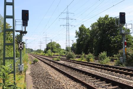 2023 hat die Bahn den Einsatz von Glyphosat eingestellt - und macht nun die Kehrtwende. (Archivbild)