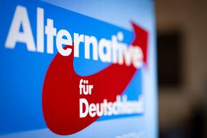 Unbekannte haben E-Mail-Konten der AfD angegriffen