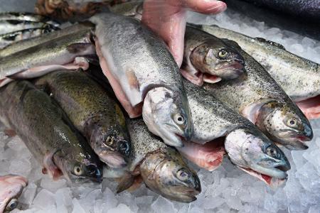 Die EU-Kommission will den Fischfang reformieren (Archivbild)