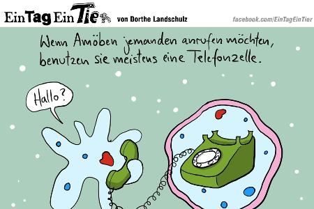 EIN_TAG_EIN_TIER