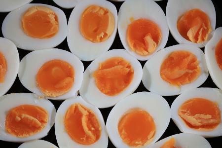 Proteine, Vitamine und Mineralstoffe