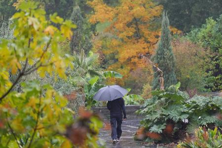 Herbstspaziergang