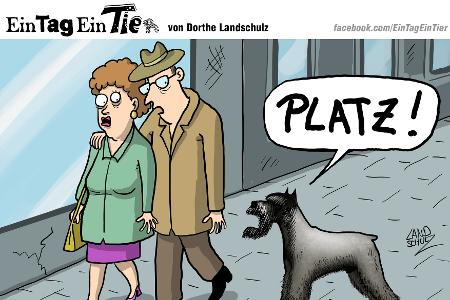 EIN_TAG_EIN_TIER