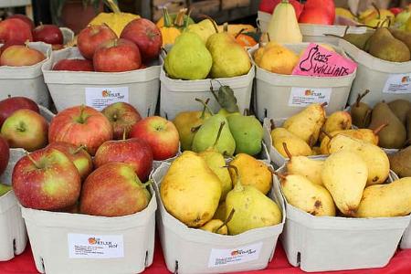 Obst, Südtirol, Italien, Camping Passeier, Alpen