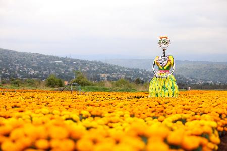 Eine riesige „Catrina“-Figur steht in einem Ringelblumenfeld.