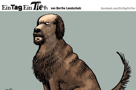 EIN_TAG_EIN_TIER