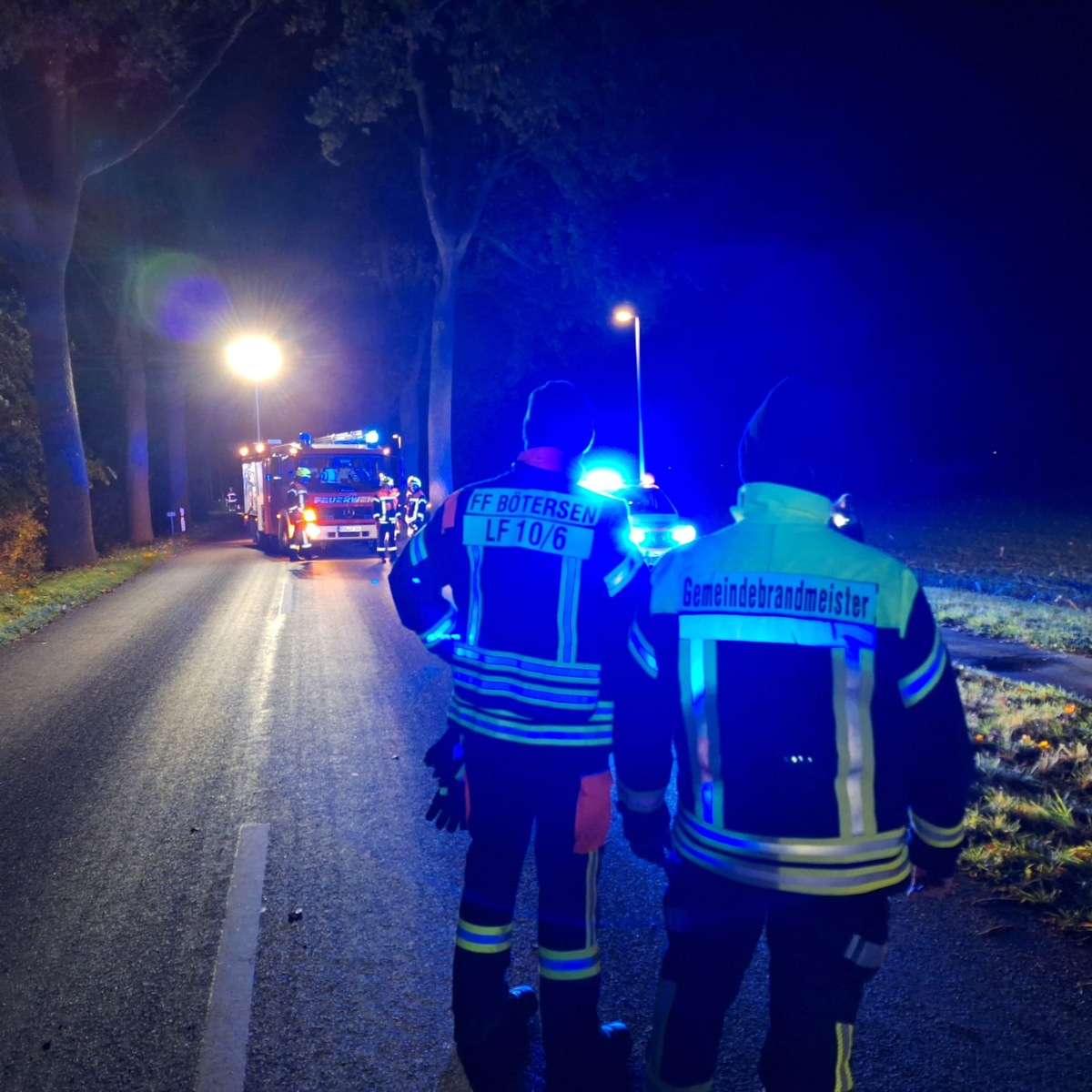 Driver dies after car hits tree near Höperhöfen