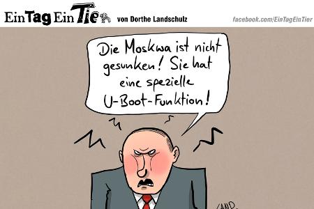 EIN_TAG_EIN_TIER