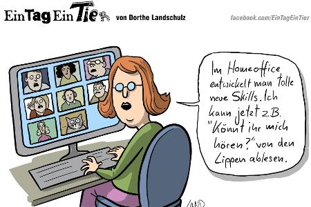 EIN_TAG_EIN_TIER