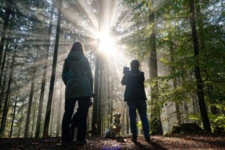 Durch die Baumwipfel: Zwei Spaziergängerinnen fotografieren Sonnenstrahlen.